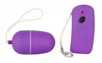 Voorbeeld: violettes Vibro-Ei 
