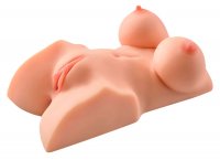Voorbeeld: ### 0. Torso met dikke boezem