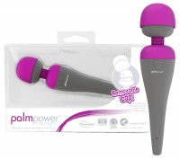 Voorbeeld: PalmPower Massager