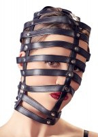 Voorbeeld: Hoofdmasker kooi