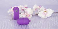 Voorbeeld: violettes Vibro-Ei 